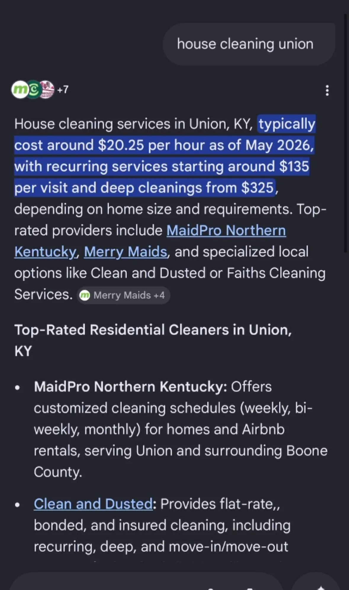 Google AI search listing Clean & Dusted among top-rated cleaners in Union, KY